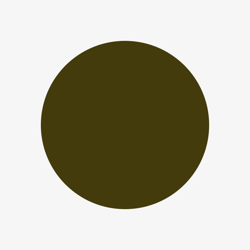 Olive Color Swatch